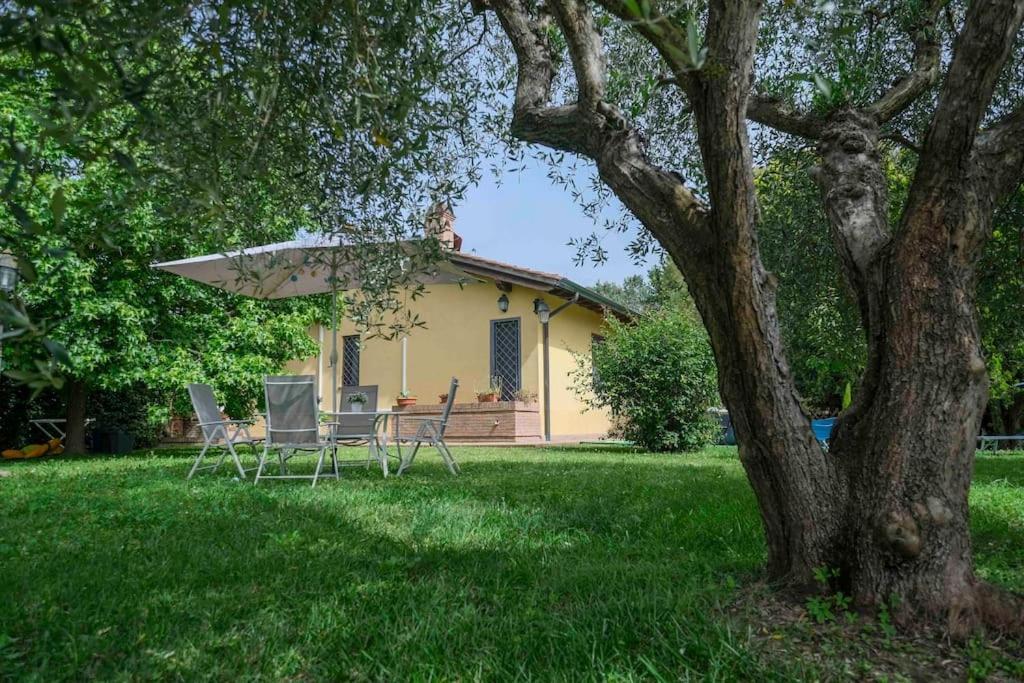 Villa Luxury Pool & Garden Піза Екстер'єр фото